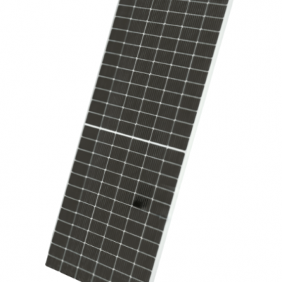 portrait,-white-bg,-no-shadow-designify (1)